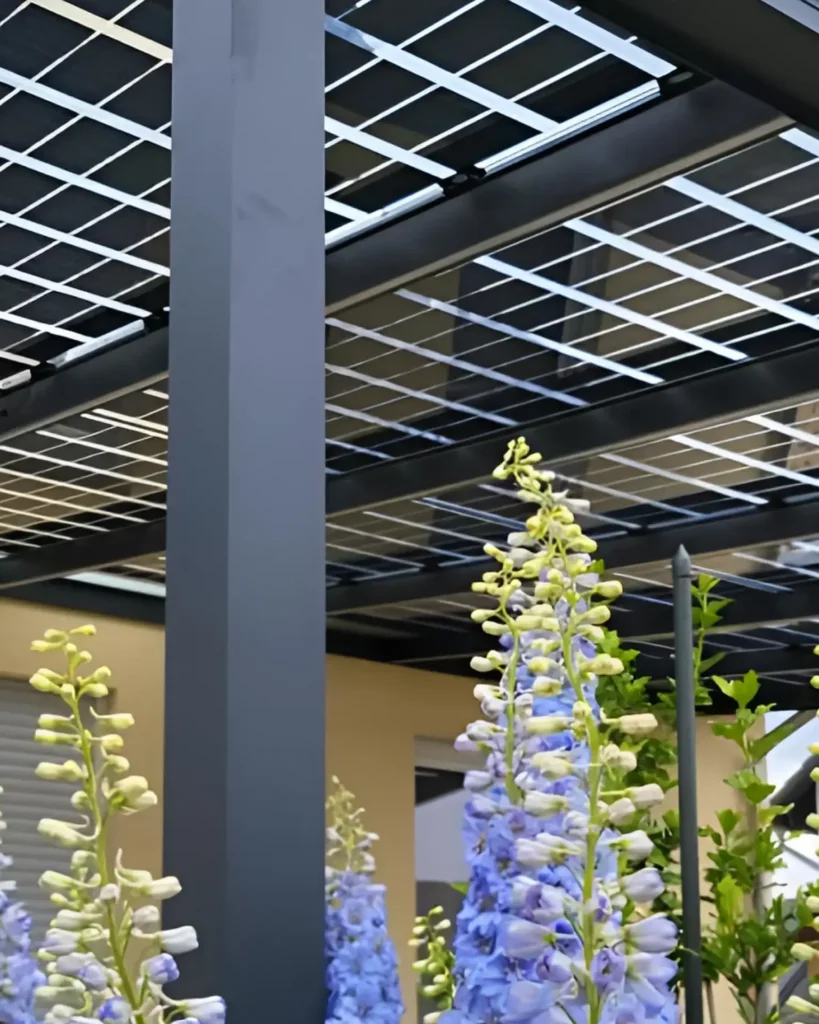 Terrassenüberdachung Lüdenscheid